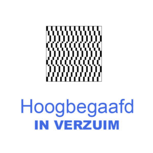 Hoogbegaafd in Verzuim - 11 en 25 juni 2025